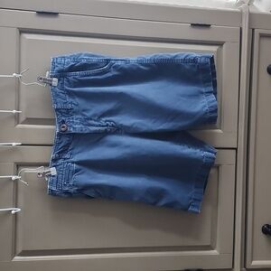 American Eagle Outfitters  classic shorts size 30